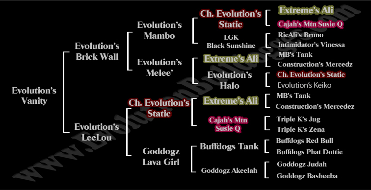 Evolution Vanity Pedigree